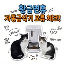 발통나라 | 황금연휴 집 비우기 전에 자동급식기 이 오류 꼭 확인하세요