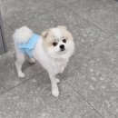 마음동물의료센터 이미지