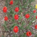 연지한신타워 이미지