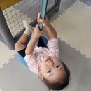 천전동 장난감은행 이미지