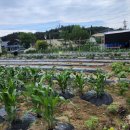 농협승강장 이미지