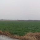 문내면사무소 이미지