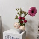 케이포스트 | 케이다이어트랩 데이번 포스트바이오틱스 후기, 야식 먹어도 체중 유지되는 느낌