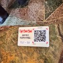 행복한인쇄소 | 맛집] 향신료 걱정 끝! 흑백요리사2 미스터사이공의 힙한 베트남 음식점 '을지깐깐' 내돈내산 솔직후기