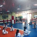 무궁화태권도 오름관 이미지