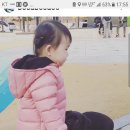 꽃보다 강쥐 이미지