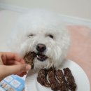 맛있개 건강하개 이미지