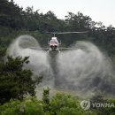 (주)대덕바이오 이미지