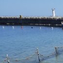 속초바다야 이미지