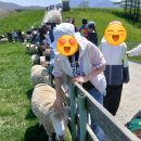 강릉시청소년해양수련원 | 강릉/3일차/국립조선왕조실록박물관/대관령양떼목장/오죽헌/주문진수산시장/강릉시청소년해양수련원/숙박