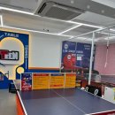 실내탁구장 이미지