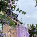 에스타시온 이미지