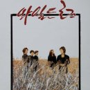 와일드밴드 이미지