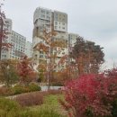 이화2공인중개사사무소 이미지