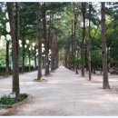 포레스트카라반 이미지