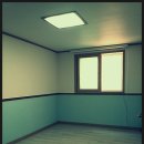 엘림주유소 이미지