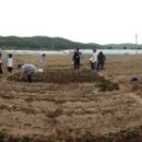 동명치유농업인회 이미지