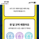 광돈 이미지