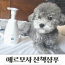풋풋하게 | 산책 후 관리 고민 끝, 에르모사펫 풋풋하게 산책샴푸 체험 후기