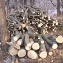 수령농장 이미지