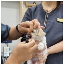 전북동물의료센터 이미지