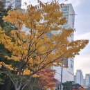 성우공조 | 저녁 운동은 동네 탐방하기로 심곡서원 탐방 추가