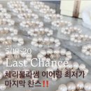 마이체리블라썸 | 오늘이 마지막 체리블라썸 컬렉션 최저가 라스트찬스‼️