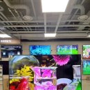 세종파이낸스센터1차 | 세종시 혼수 이사가전 역대최저가 매장 하이마트 세종점 LG가전 추천