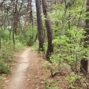 청량학동길 이미지