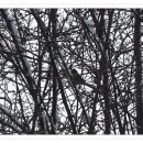 대천공원 입구 이미지