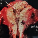 변상희산부인과의원 이미지
