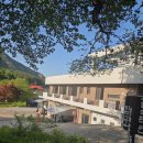 놀아펜션 | 동학사펜션 자연 가까이 가족여행에 딱 좋았던 놀아펜션 후기