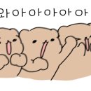 더파워 복싱짐 이미지