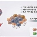 원천 연합뉴스