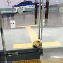 문화지구대 이미지