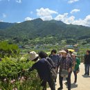 힐링원예 가드닝 이미지