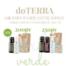 다이아몬드헤어클럽