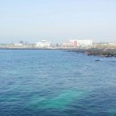 솔내음솔솔 이미지