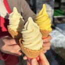 만연폭포 공중화장실 | 비에이 투어 내돈내산 후기 흰그림자 프리미엄 투어 크리스마스트리 탁신관 준페이 흰수염폭포...