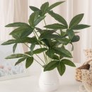 녹색플라워 이미지