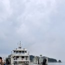 대도 Daum카페