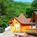 꿈꾸는 숲 이미지