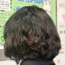 태양미용실