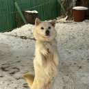 스타킹노래연습장 이미지