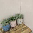 호떡까페