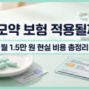 인자헤어뉴스 | 탈모약 보험 적용될까? 피나스테리드 월 1.5만 원 처방 + 메조테라피 1회 4~6만 원 현실 비용