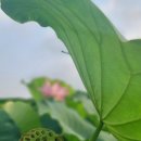 현치과기공소 이미지