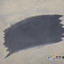 비금속물질 채취  제조  가공업 이미지