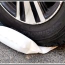 와이엠코리아 이미지