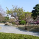 경상감영공원 이미지